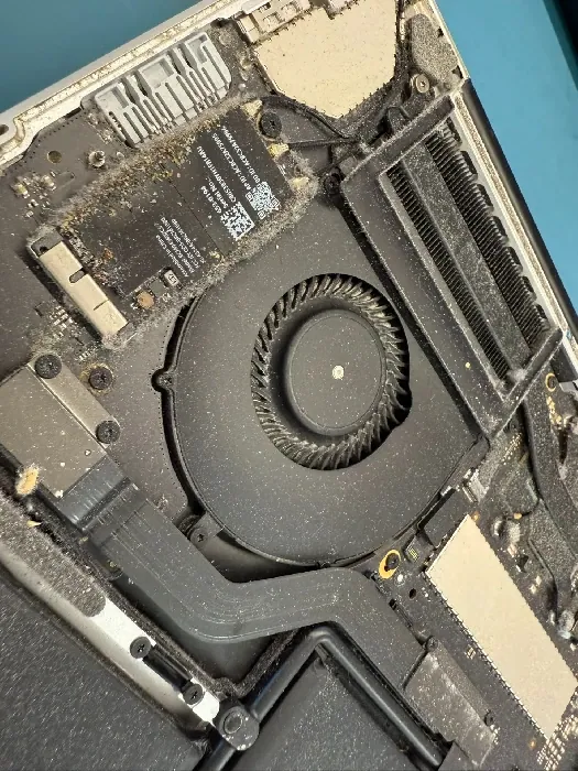 Servis MacBooku v Hošmin Servis